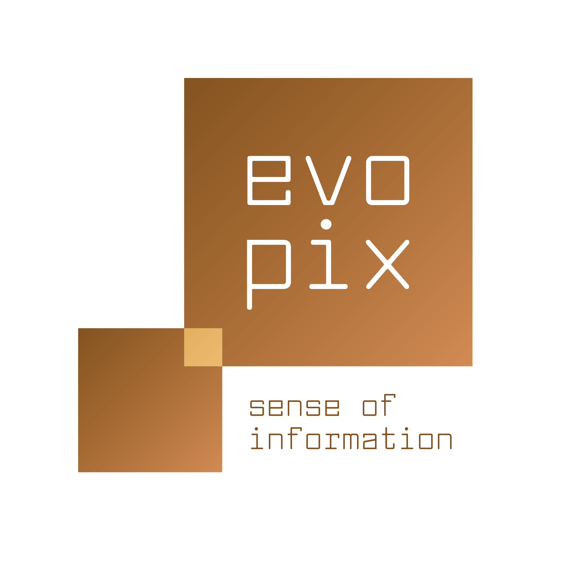 evopix logo